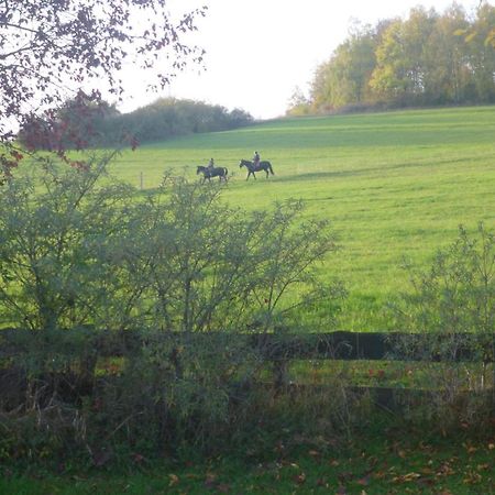 Natur Pur Mit Fernblick Fuer Wanderfreunde Bad Sachsa Esterno foto