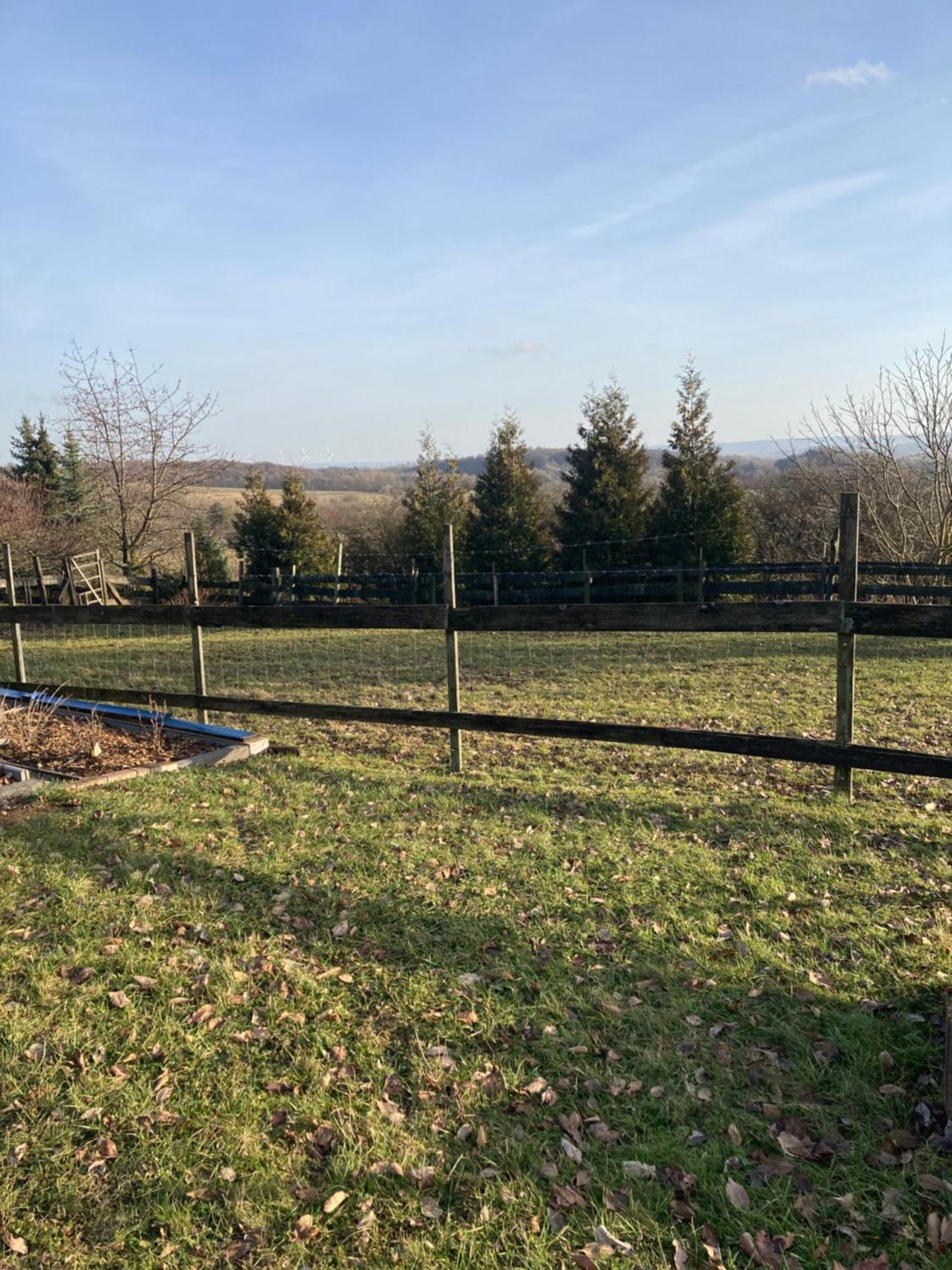 Natur Pur Mit Fernblick Fuer Wanderfreunde Bad Sachsa Esterno foto
