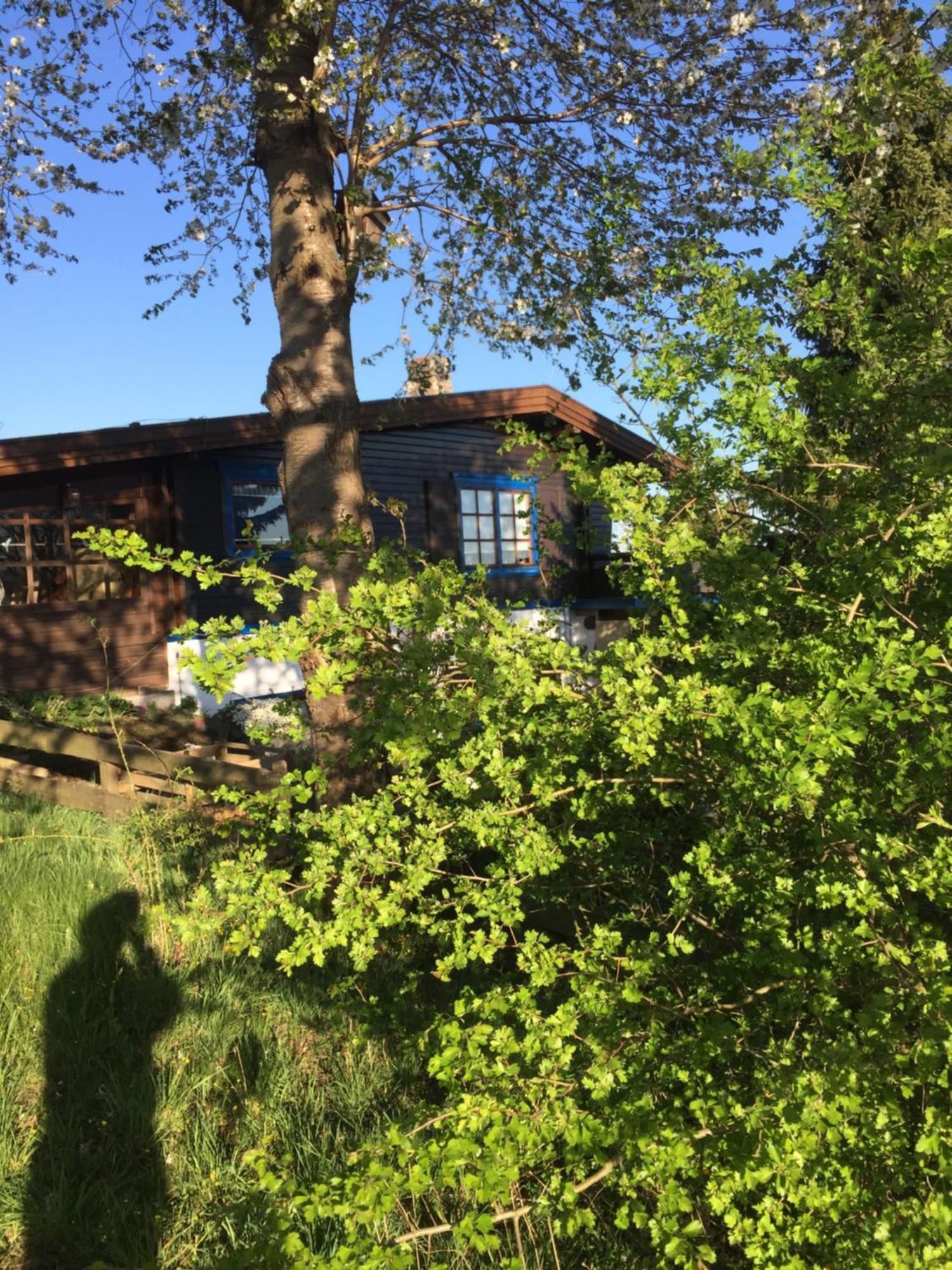 Natur Pur Mit Fernblick Fuer Wanderfreunde Bad Sachsa Esterno foto